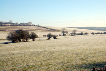 Looking towards the proposed Iron Age hillfort from Hudnall Corner January 2010